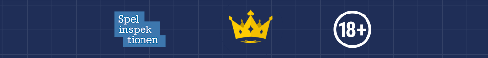 Casino bonus regler & villkor